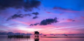 Kto mieszka w zagrodzie?