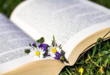 Ile można zarobić na książce dla dzieci?