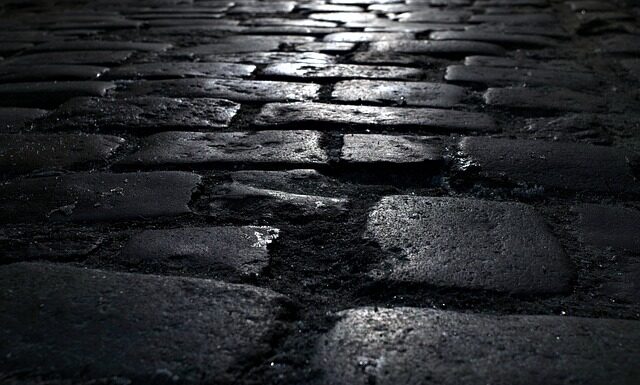 Co jaki czas wymieniać podłoże w terrarium?