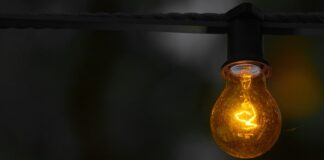 Co ile wymieniać żarówkę UVB w terrarium? Co ile wymieniać żarówkę UVB w terrarium?