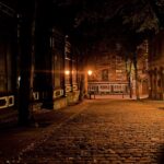 Jakie lampy do doświetlania roślin?