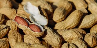 Jak się robi orzeszki w skorupce?